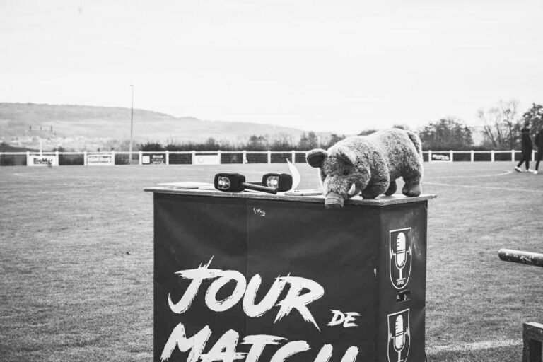 Match en direct drapeau vert carton rouge